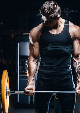 Ganho de Massa Muscular